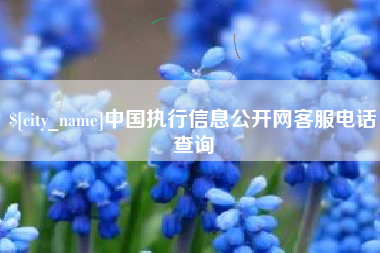南京中国执行信息公开网客服电话查询