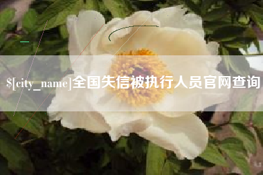 南京全国失信被执行人员官网查询