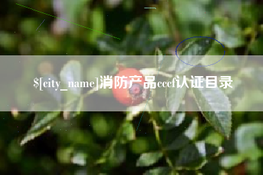 南京消防产品cccf认证目录