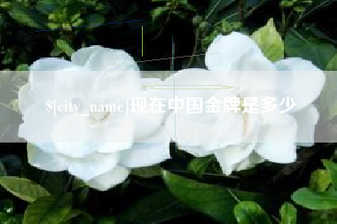 南京现在中国金牌是多少