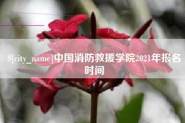 南京中国消防救援学院2021年报名时间
