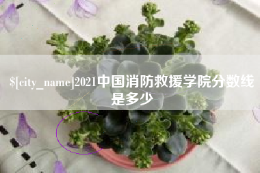 南京2021中国消防救援学院分数线是多少