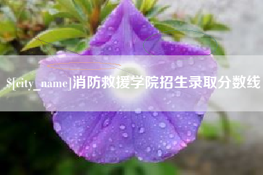 南京消防救援学院招生录取分数线