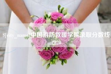 南京中国消防救援学院录取分数线2020