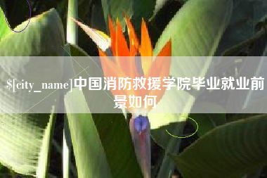 南京中国消防救援学院毕业就业前景如何