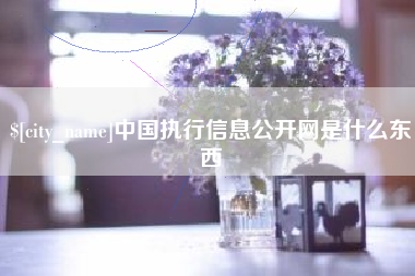 南京中国执行信息公开网是什么东西