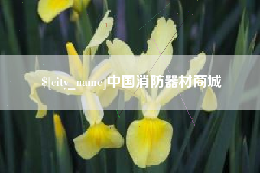 南京中国消防器材商城