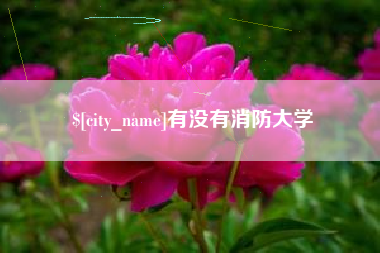南京有没有消防大学