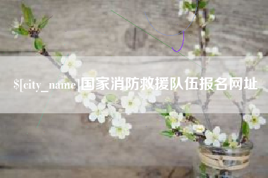 南京国家消防救援队伍报名网址