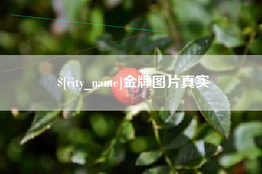 南京金牌图片真实
