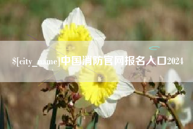 南京中国消防官网报名入口2024