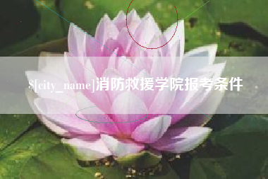 南京消防救援学院报考条件