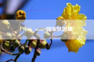 南京国家队图案