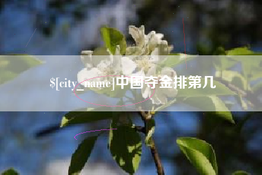 南京中国夺金排第几