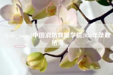 南京中国消防救援学院2020年录取结果