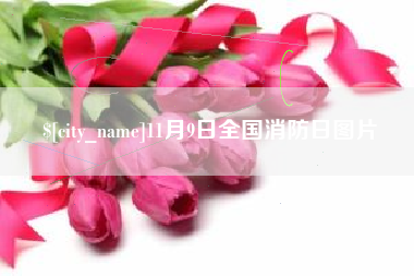 南京11月9日全国消防日图片