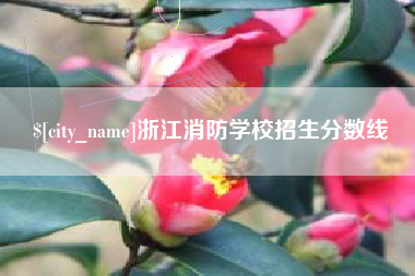 南京浙江消防学校招生分数线