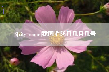 南京我国消防日几月几号