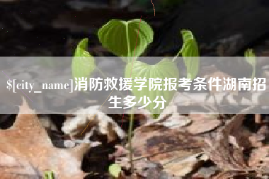 南京消防救援学院报考条件湖南招生多少分