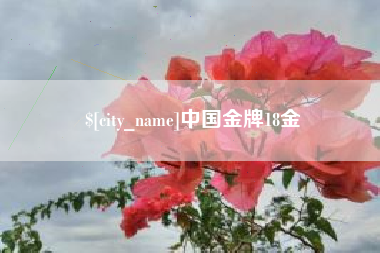 南京中国金牌18金
