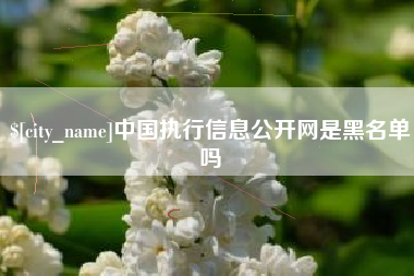 南京中国执行信息公开网是黑名单吗