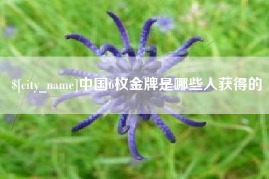 南京中国6枚金牌是哪些人获得的