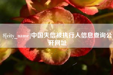 南京中国失信被执行人信息查询公开网址