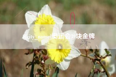 南京奥运会39块金牌