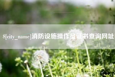 南京消防设施操作员证书查询网址