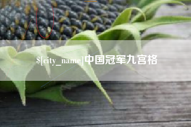 南京中国冠军九宫格