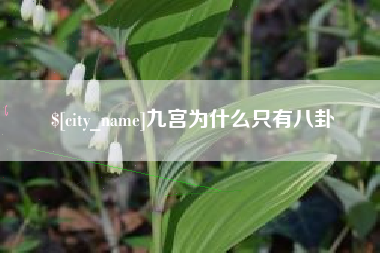 南京九宫为什么只有八卦