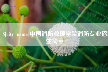 南京中国消防救援学院消防专业招生简章
