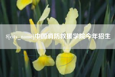 南京中国消防救援学院今年招生
