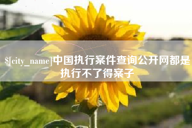 南京中国执行案件查询公开网都是执行不了得案子