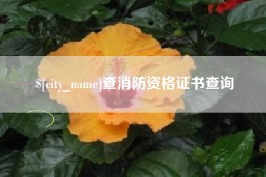 南京查消防资格证书查询