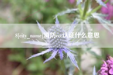 南京消防ccc认证什么意思