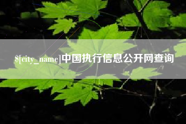 南京中国执行信息公开网查询