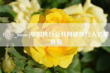 南京中国执行公开网被执行人名单查询