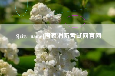 南京国家消防考试网官网