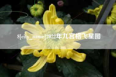 南京2022年九宫格飞星图