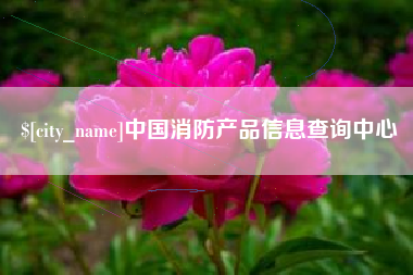南京中国消防产品信息查询中心