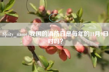 南京我国的消防日是每年的11月9日对吗？