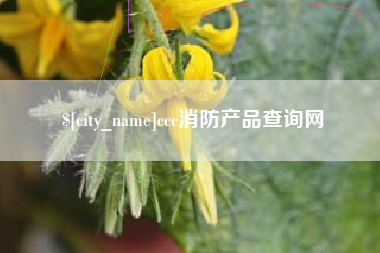 南京ccc消防产品查询网