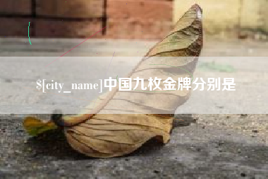 南京中国九枚金牌分别是