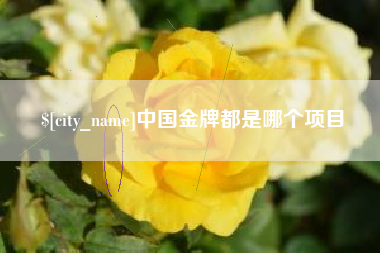 南京中国金牌都是哪个项目
