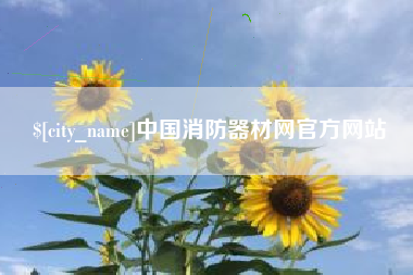 南京中国消防器材网官方网站