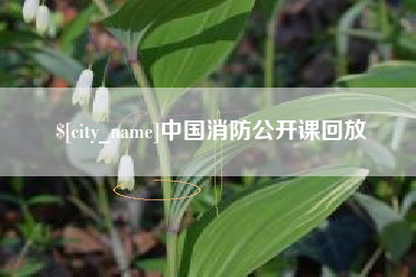 南京中国消防公开课回放
