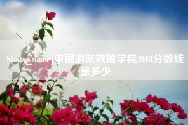 南京中国消防救援学院2018分数线是多少