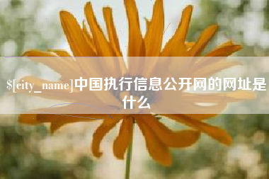 南京中国执行信息公开网的网址是什么