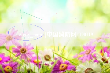 南京中国消防网1190119